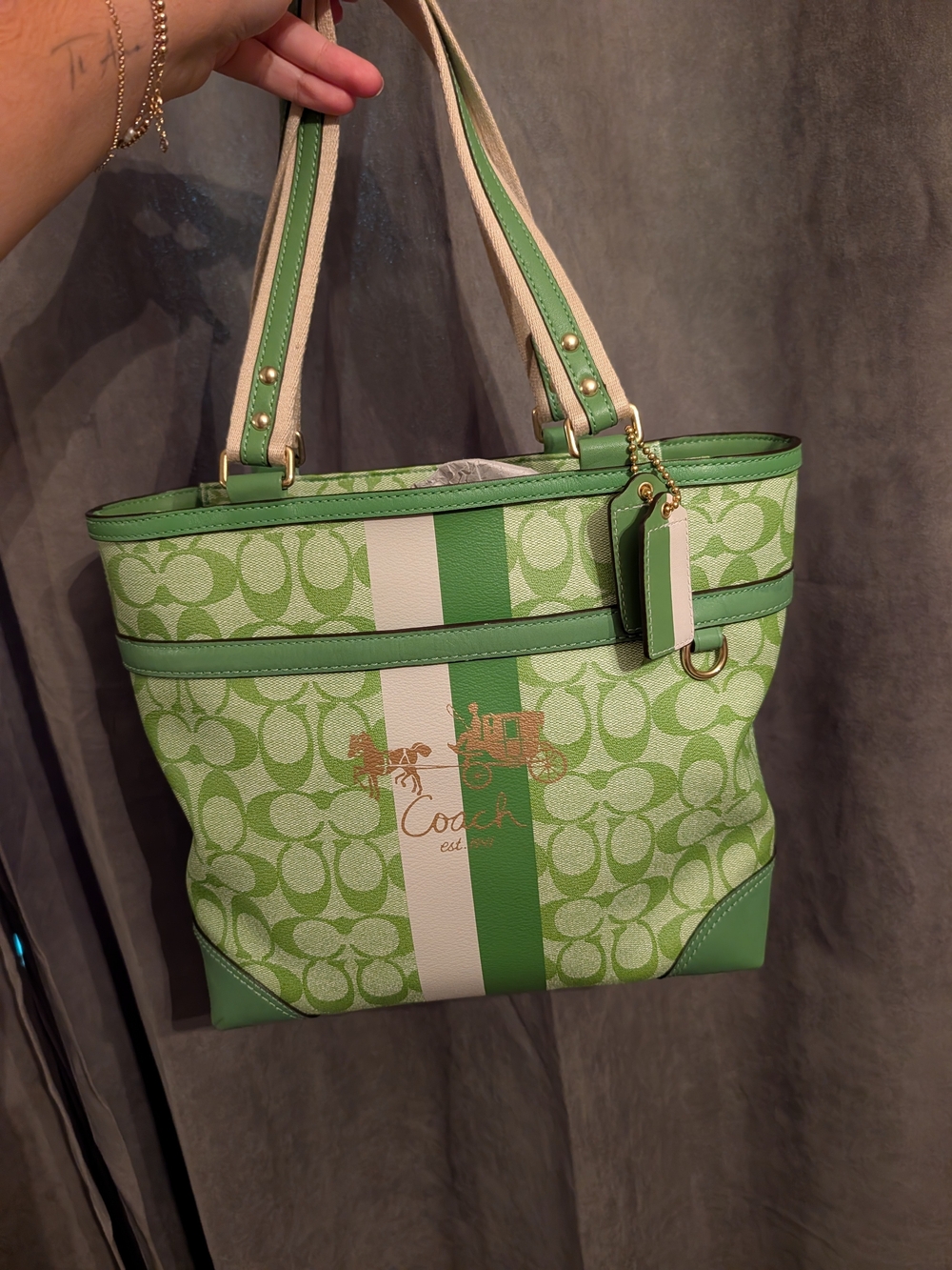 Coach Green Signature Stripe Bag